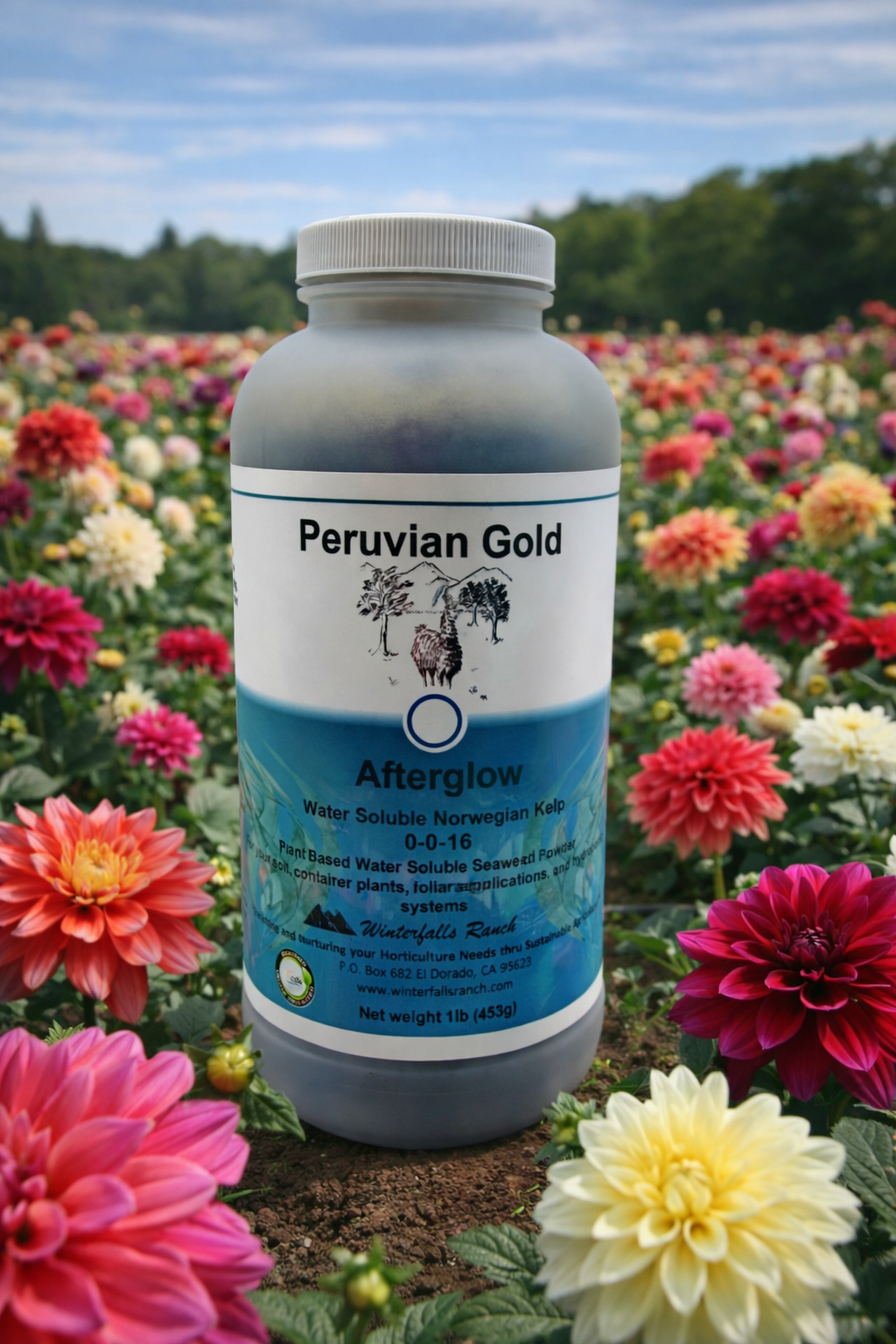 Peruvian Gold Afterglow image 0